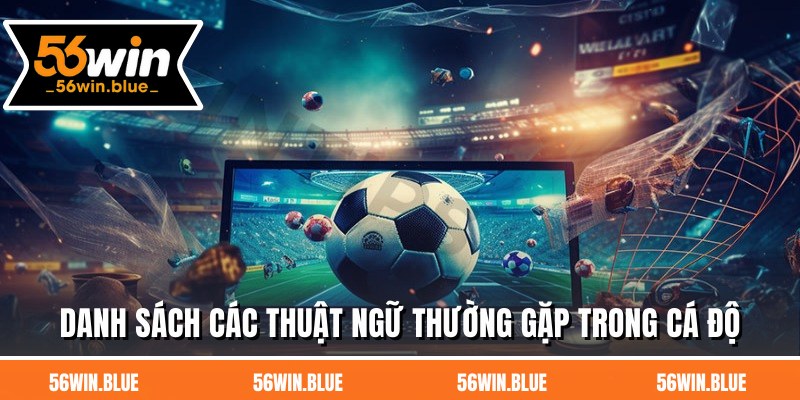 Danh sách các thuật ngữ thường gặp trong cá độ