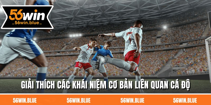 Giải thích các khái niệm cơ bản liên quan cá độ